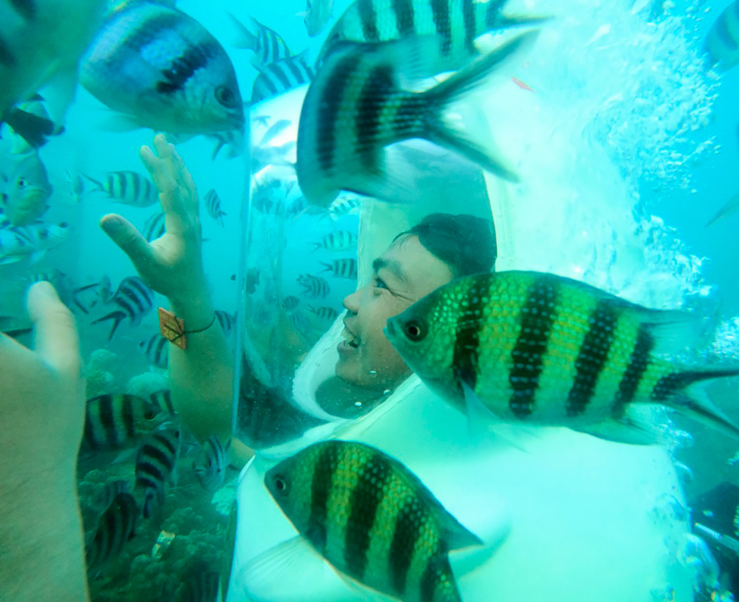 Du khách trải nghiệm làm “phi hành gia dưới biển” Phú Quốc.